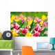 Spring Tulip Meadow Wall Decal Design 2