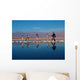 Reflection Wall Decal Design 1