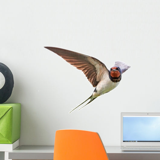 Barn Swallow Wall Decal