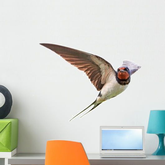 Barn Swallow Wall Decal