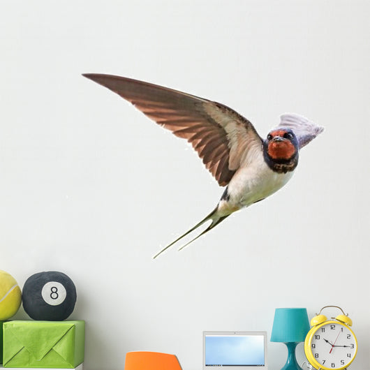 Barn Swallow Wall Decal
