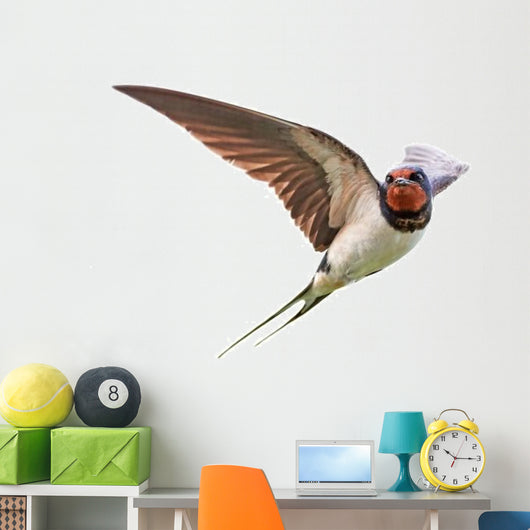 Barn Swallow Wall Decal