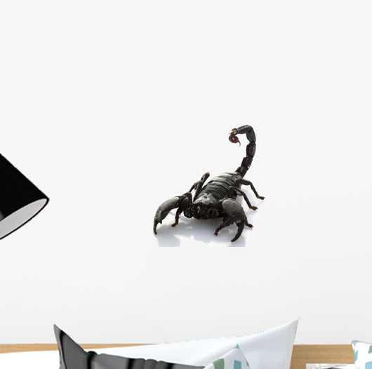 Emperor Scorpion Wall Decal