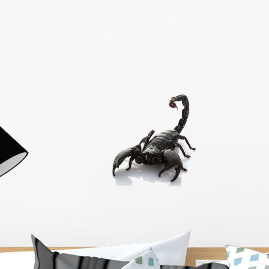 Emperor Scorpion Wall Decal