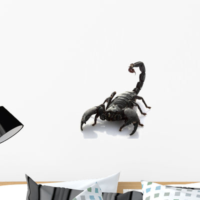 Emperor Scorpion Wall Decal shown on a wall