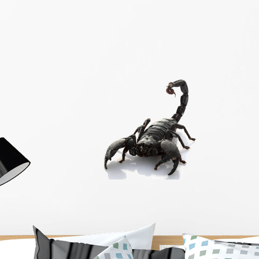 Emperor Scorpion Wall Decal