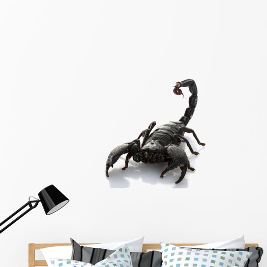 Emperor Scorpion Wall Decal