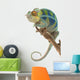 Ambanja Panther Chameleon Wall Decal
