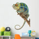 Ambanja Panther Chameleon Wall Decal