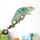 Ambanja Panther Chameleon Wall Decal