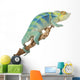 Ambanja Panther Chameleon Wall Decal