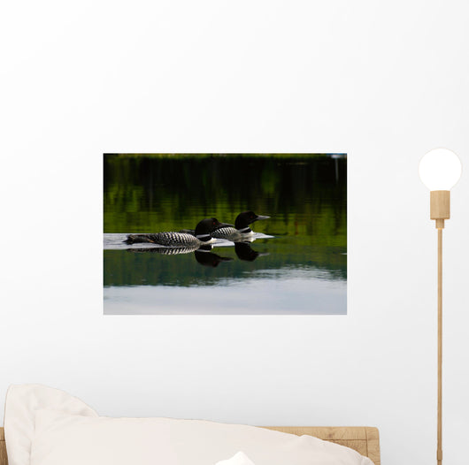 Loon Couple Wall Mural