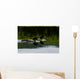 Loon Couple Wall Mural