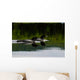 Loon Couple Wall Mural