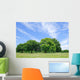 Peaceful scene Wall Mural