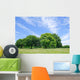 Peaceful scene Wall Mural