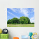 Peaceful scene Wall Mural
