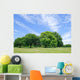 Peaceful scene Wall Mural