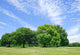 Peaceful scene Wall Mural