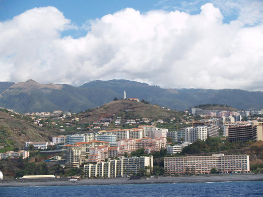 Funchal Panorama Wall Mural