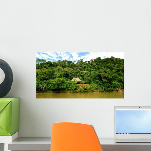 Rainforest on Napo River Wall Mural