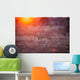 Lioness Wall Decal