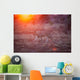 Lioness Wall Decal