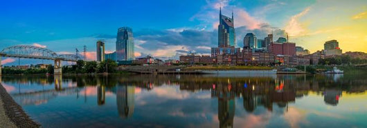 Nashville Panorama Skyline Wall Decal