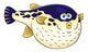 Cartoon puffer fish Wall Decal