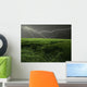 Thunderstorm over Field Wall Decal