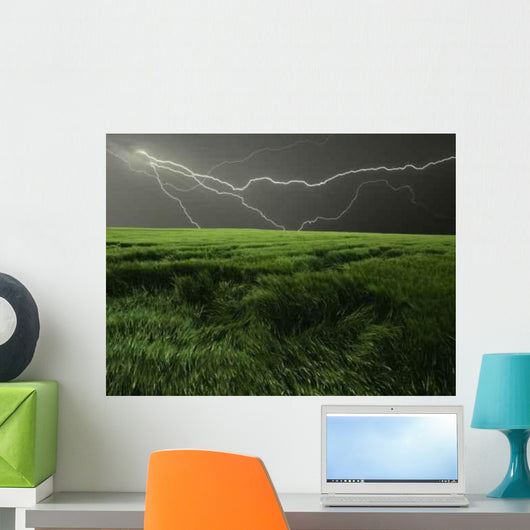 Thunderstorm over Field Wall Decal