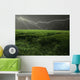 Thunderstorm over Field Wall Decal