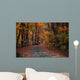 Autumn Country Road Wall Decal
