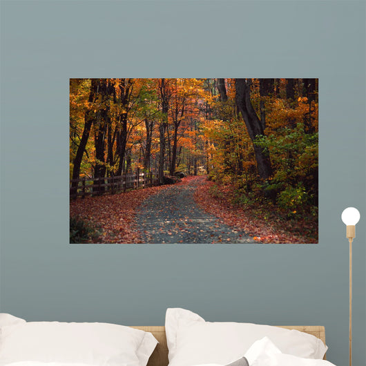 Autumn Country Road Wall Decal