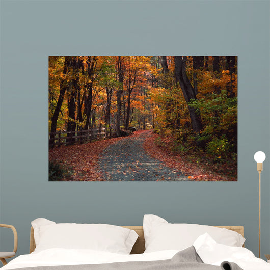 Autumn Country Road Wall Decal