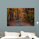 Autumn Country Road Wall Decal