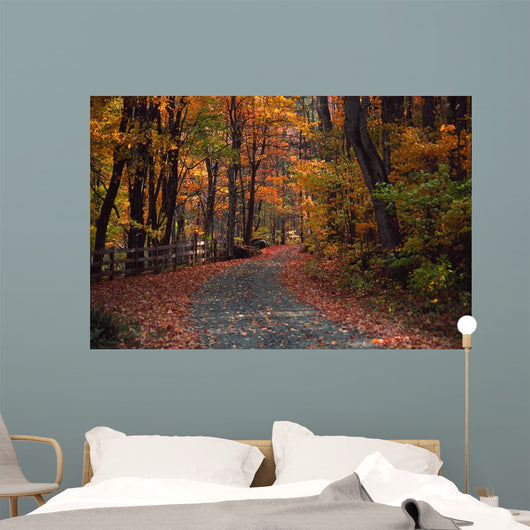 Autumn Country Road Wall Decal