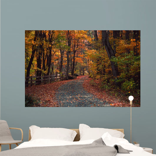 Autumn Country Road Wall Decal