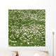 Daisy Wall Decal