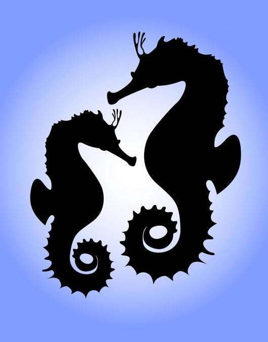seahorses Wall Mural