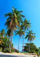 Exotic Paradise Wall Decal