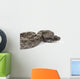 Argentine Boa Wall Decal