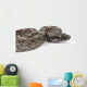 Argentine Boa Wall Decal