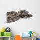 Argentine Boa Wall Decal