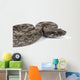 Argentine Boa Wall Decal