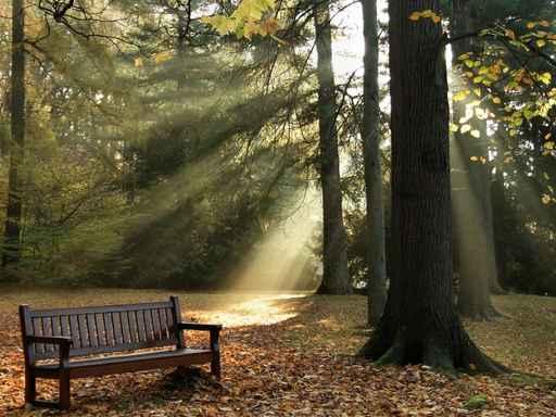 Autumn Park Wall Decal Design 2