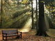 Autumn Park Wall Decal Design 2