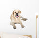 Yellow Labrador Retriever Smiling Wall Decal