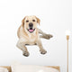 Yellow Labrador Retriever Smiling Wall Decal