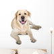 Yellow Labrador Retriever Smiling Wall Decal